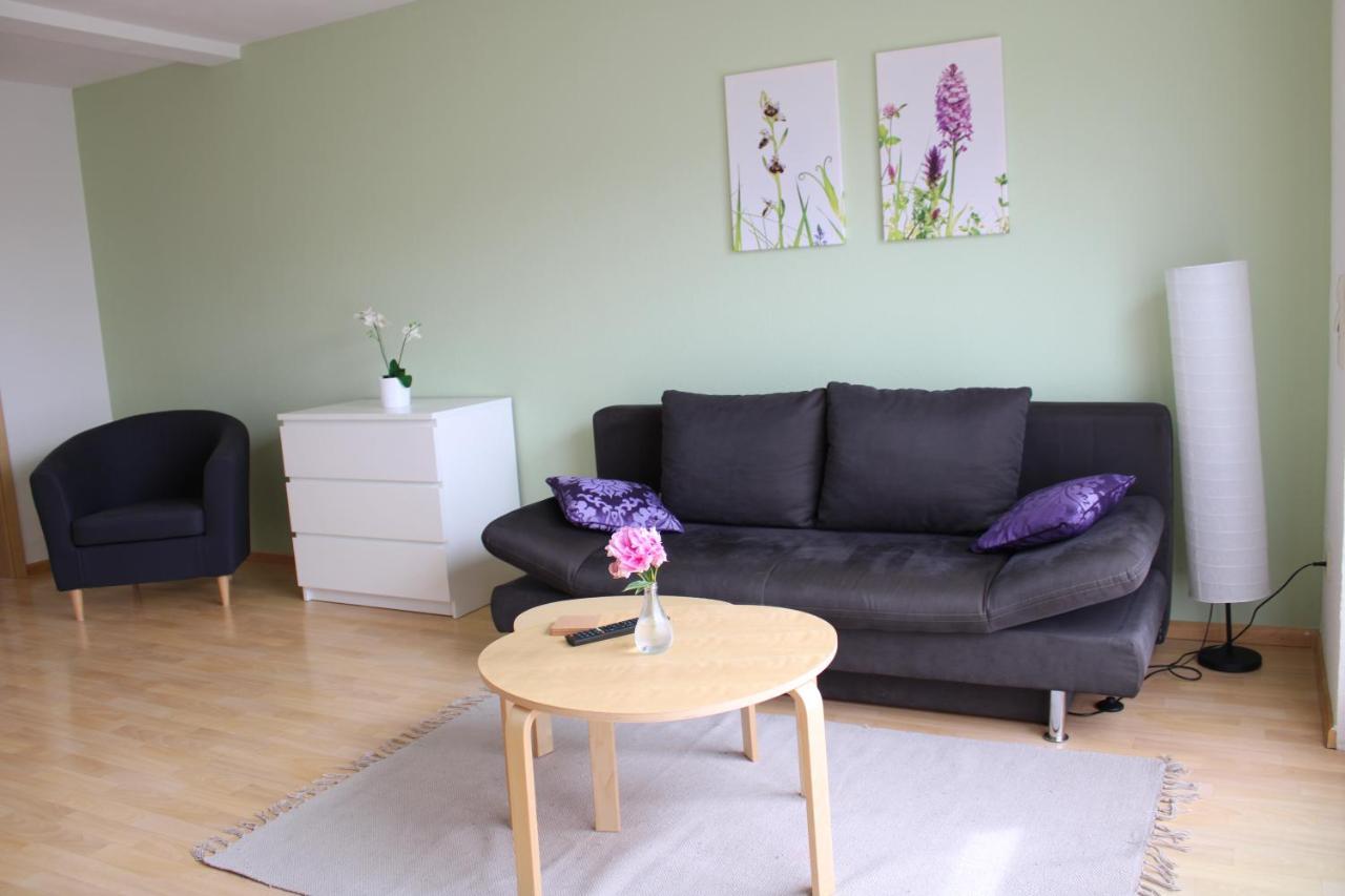 Winzerhof Senn Apartment Фогтсбург Екстериор снимка
