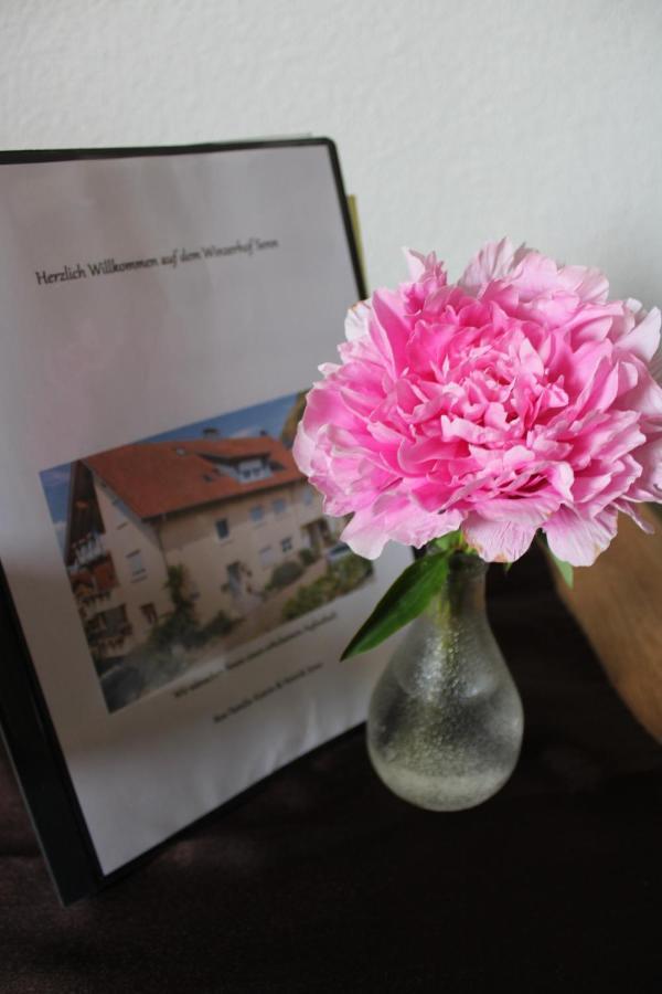 Winzerhof Senn Apartment Фогтсбург Екстериор снимка