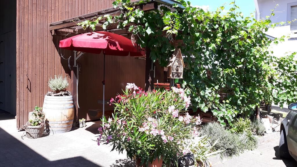 Winzerhof Senn Apartment Фогтсбург Екстериор снимка